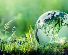 15 квітня — День екологічних знань